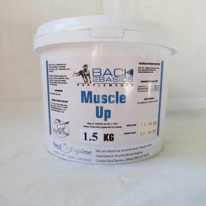 Back2Basics Muscle Up